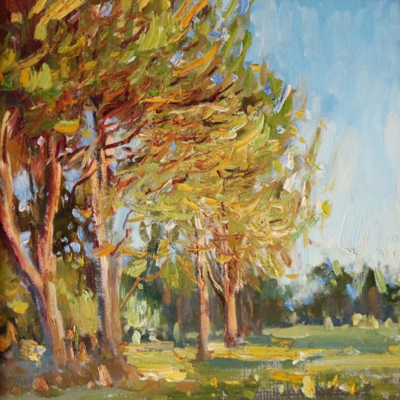 Oil on canvas painting of the evening sun illuminating the trees of Paso Robles by Daniel Bayless